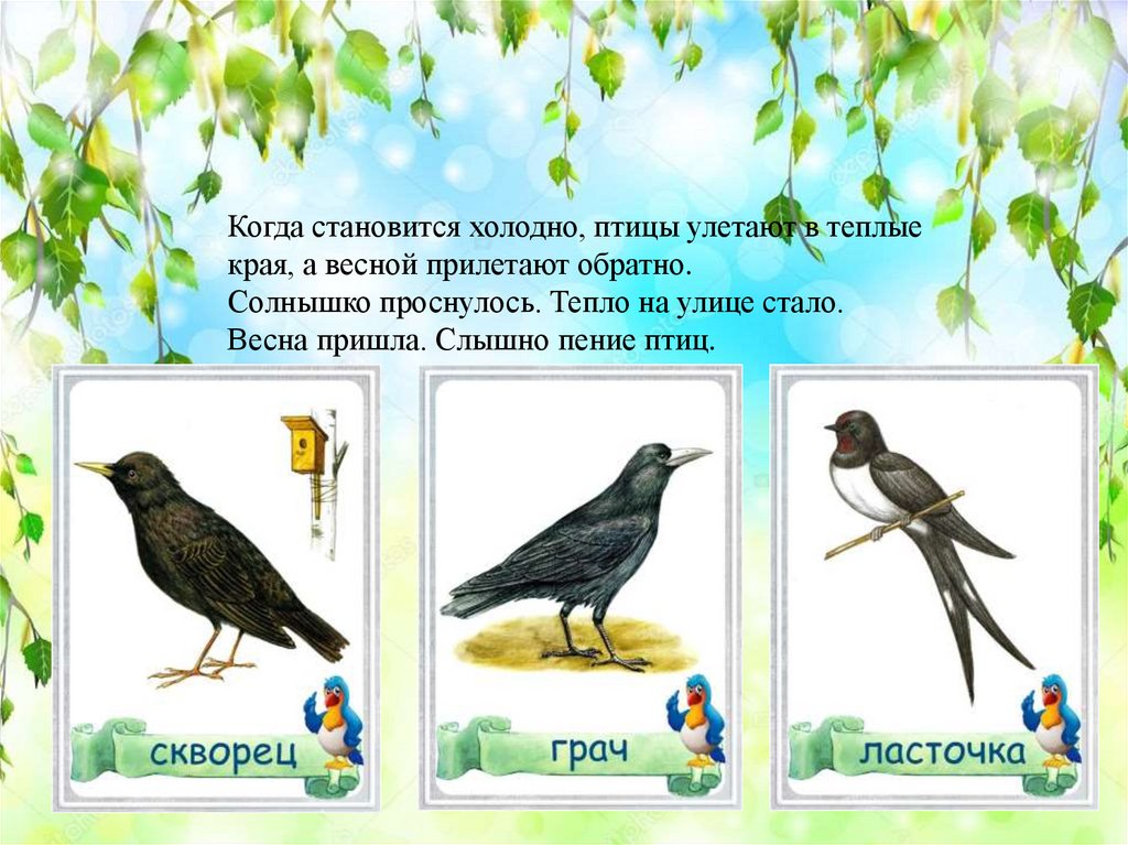 Птицы весной 2 класс. Перелетные птицы. Перелетные птицы для детского сада. Птицы весной для детей.