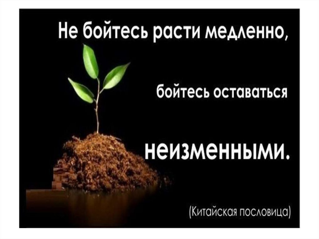 Суть остается неизменной. Не бойтесь расти медленно. Не бойся расти медленно бойся оставаться. Высказывание не бойтесь расти медленно. Не бойтесь расти медленно бойтесь стоять на месте и не расти совсем.