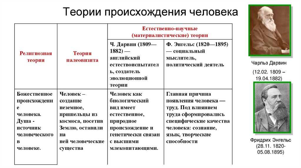 Презентация гипотезы происхождения человека биология 11 класс