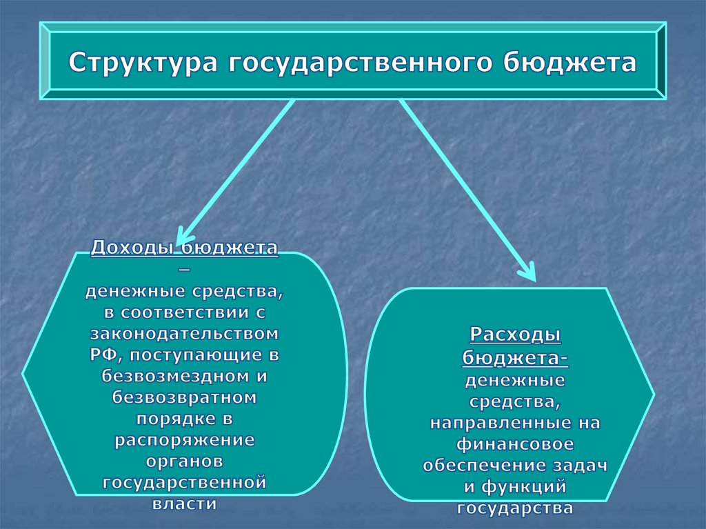 Организация государственного бюджета