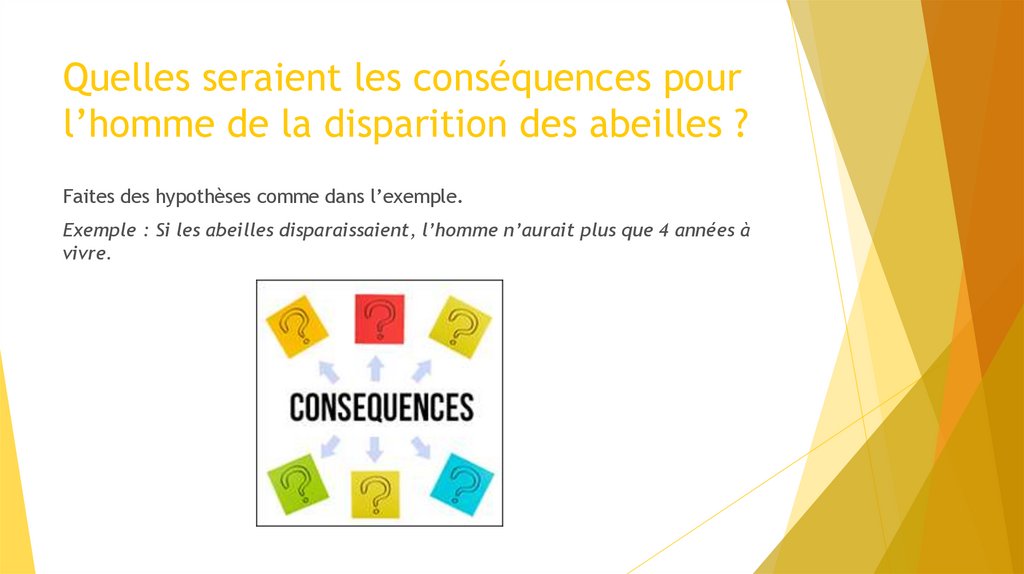 Quelles seraient les conséquences pour l’homme de la disparition des abeilles ?