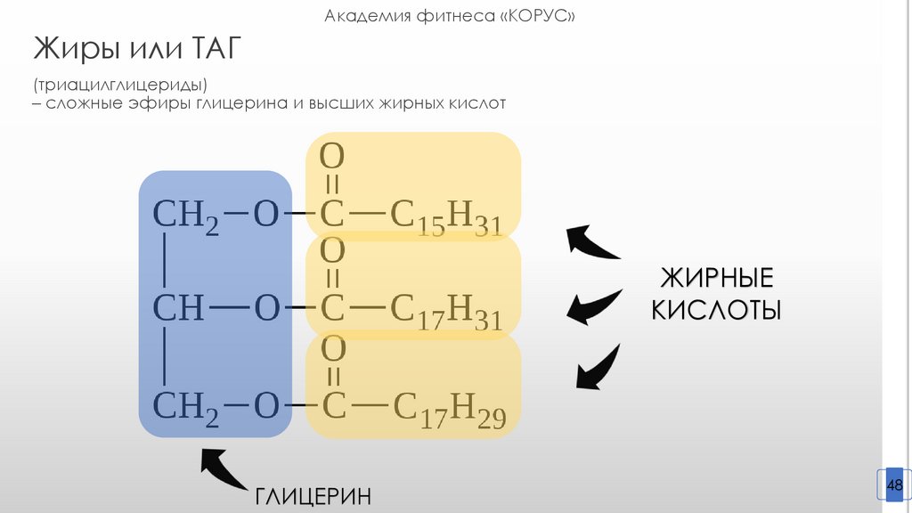 Глицерин и жирные кислоты