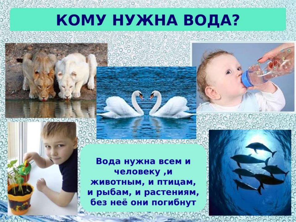 Вода и человек картинки для проекта