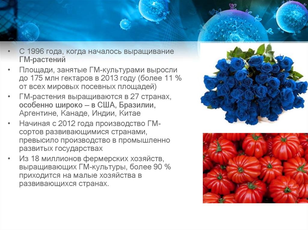 Селекция и биотехнология презентация