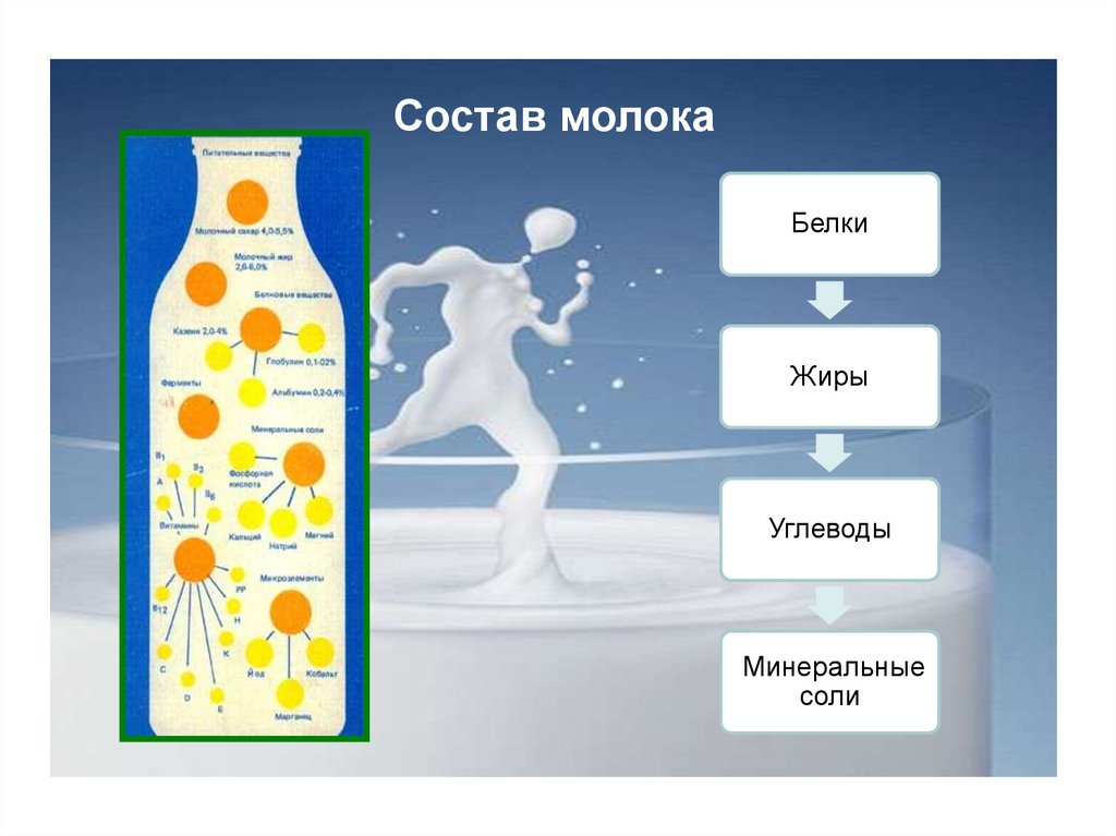 Состоящая тема. Из чего состоит молоко. Состав молока картинки. Состав молока рисунок. Викторина про молоко.