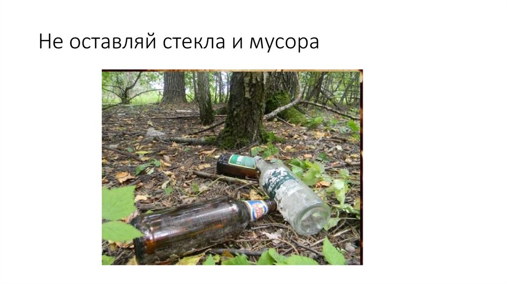 Не оставляй стекла и мусора