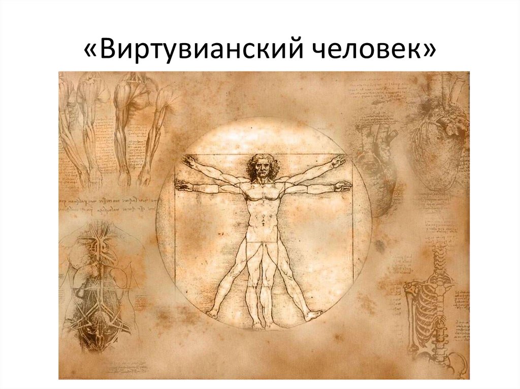 «Виртувианский человек»