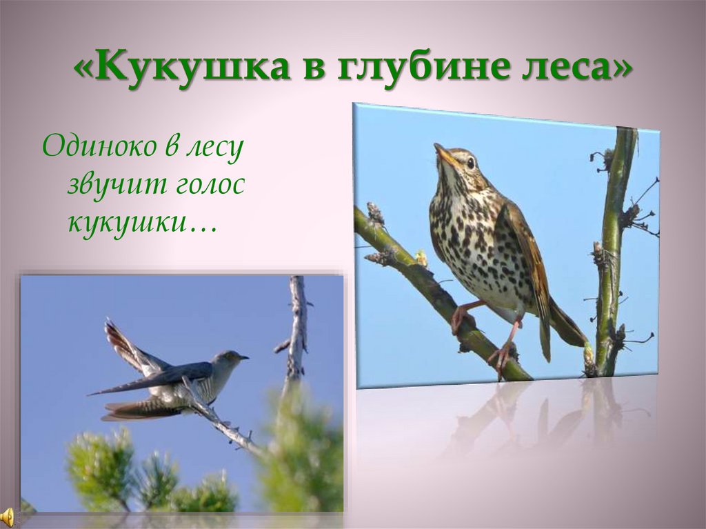 «Кукушка в глубине леса»