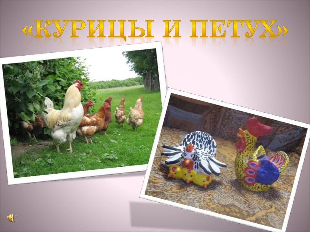 «Курицы и петух»