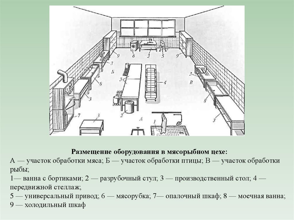 Проект рабочего места повара