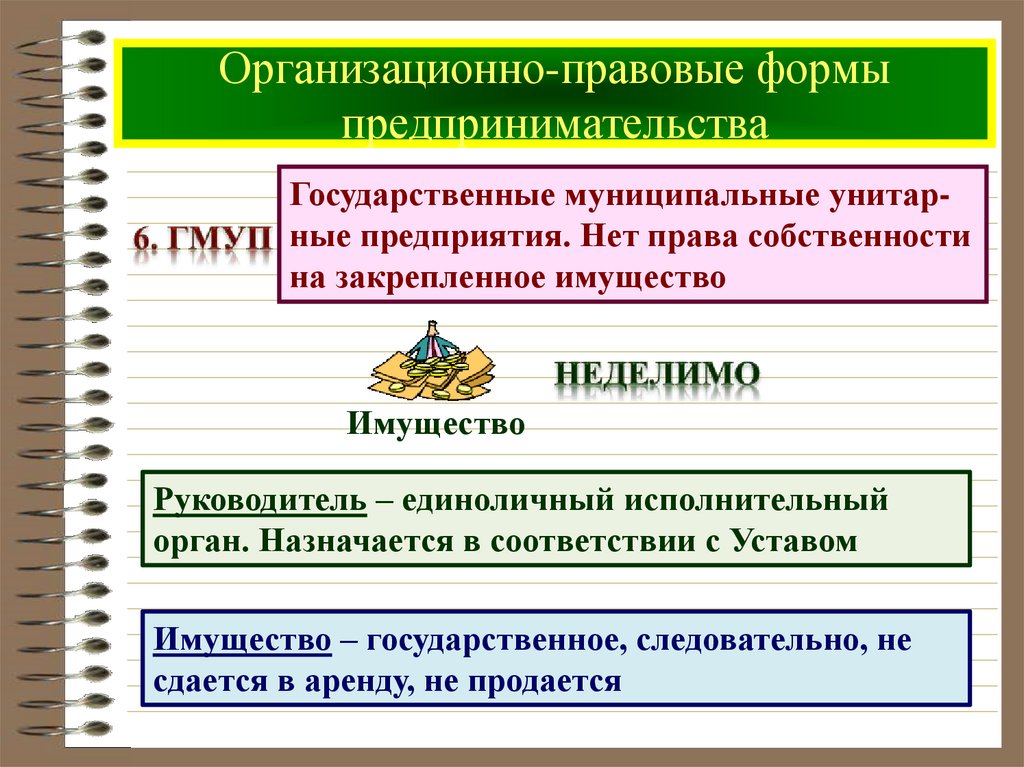 Организационно правовые формы предпринимательства план егэ