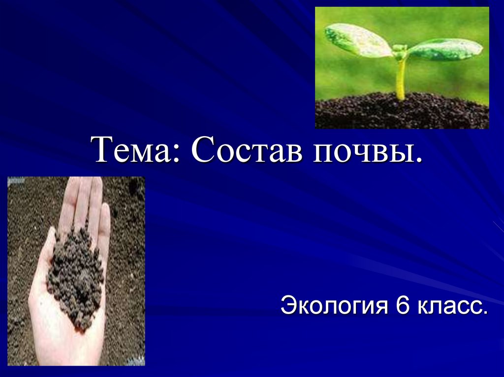 Какое значение имеют почвы в природе. Экология почвы. Почва в жизни растений. Экология 6 класс. Состав почвы экология.