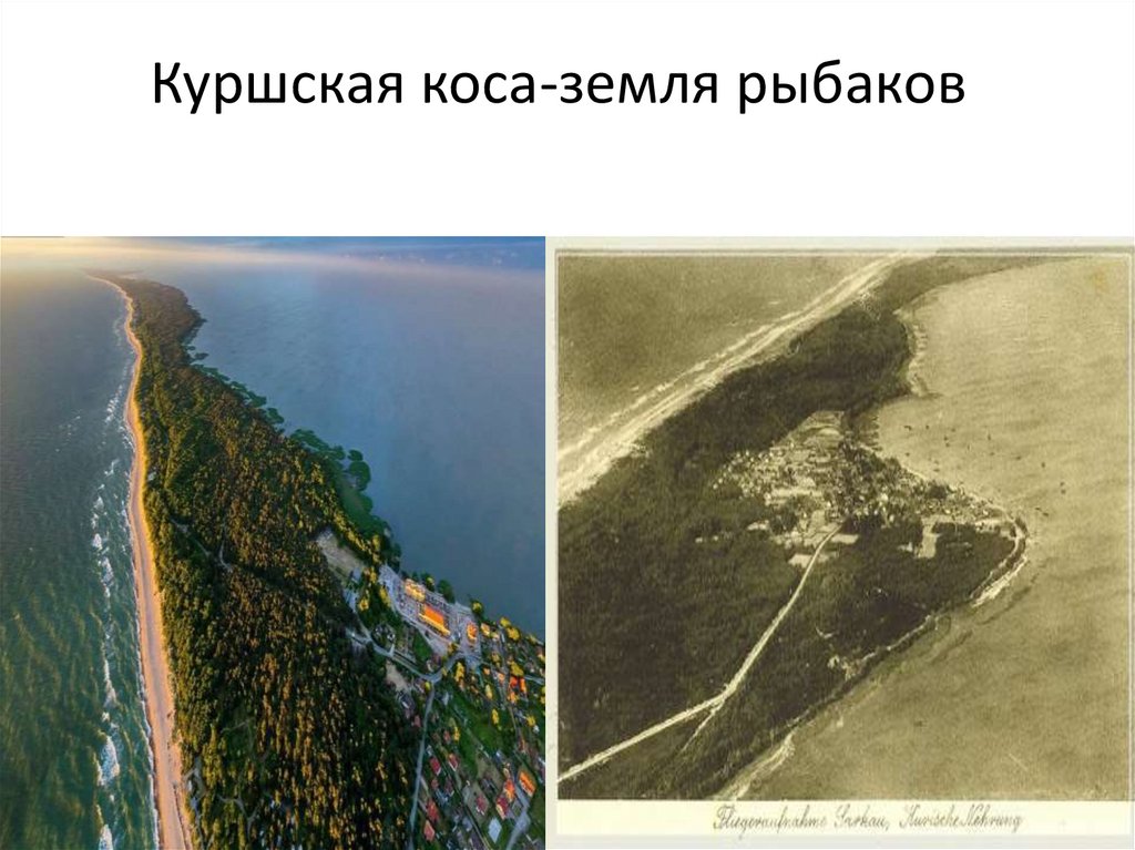 Куршская коса презентация