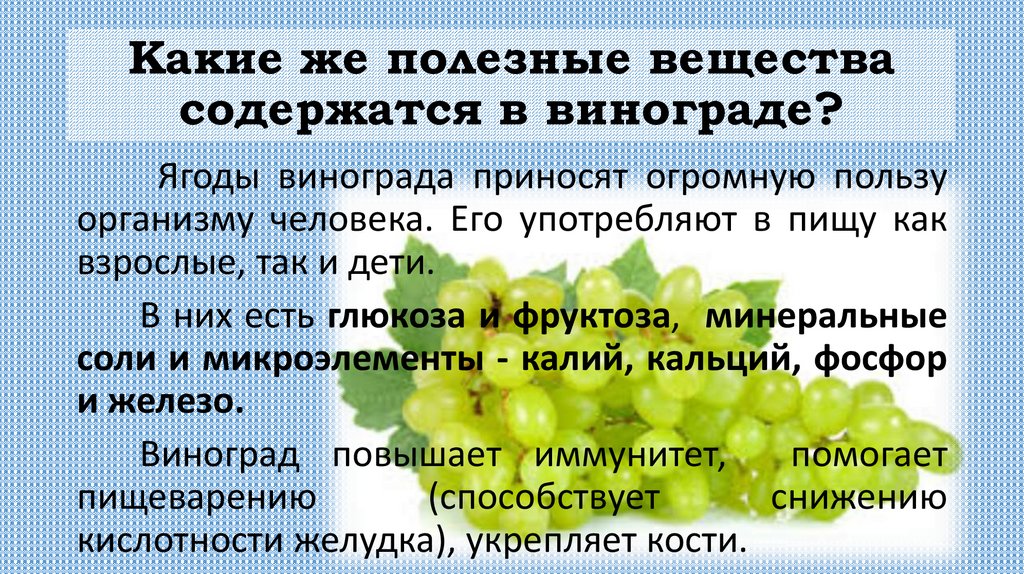 Презентация про виноград