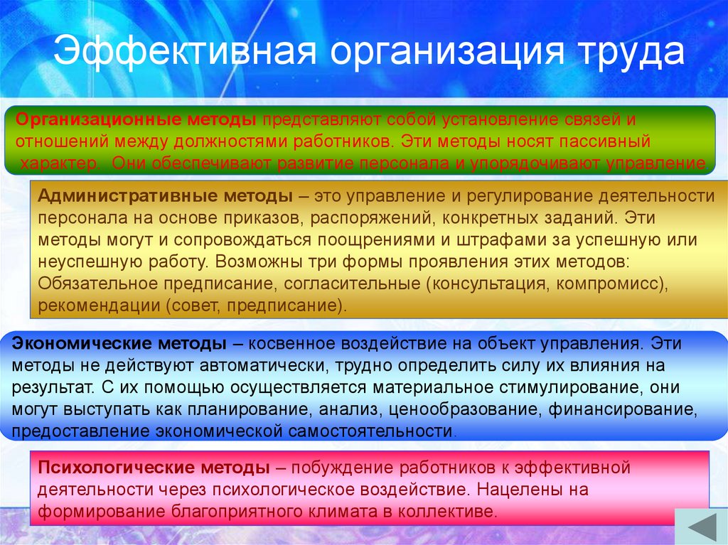 Эффективная организация труда