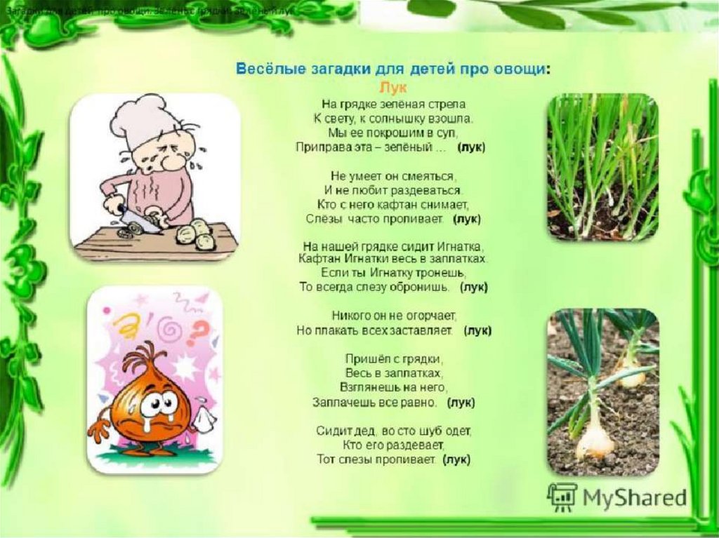 Стих про зеленый. Загадки про зелень для дошкольников. Загадки про зеленый лук. Загадка про зеленый лук для детей. Стихи о луке для детей.