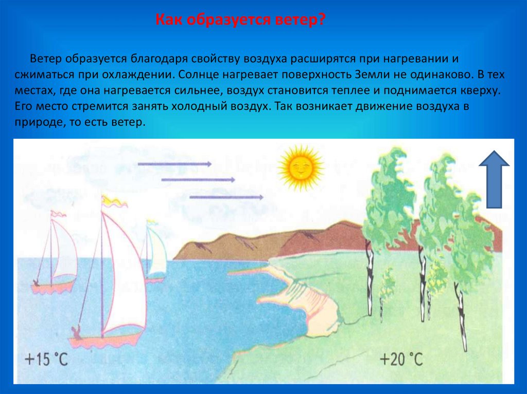 Какая схема нагрева воздуха является верной солнце нагрев воздуха нагрев земной поверхности