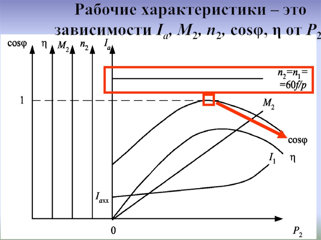 Рабочие характеристики – это зависимости Iа, М2, п2, cosφ, η от Р2.