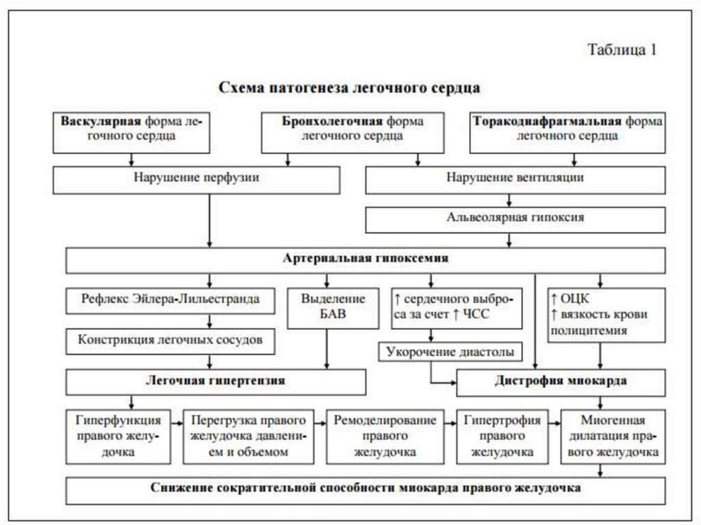 Схема лечения легочной гипертензии