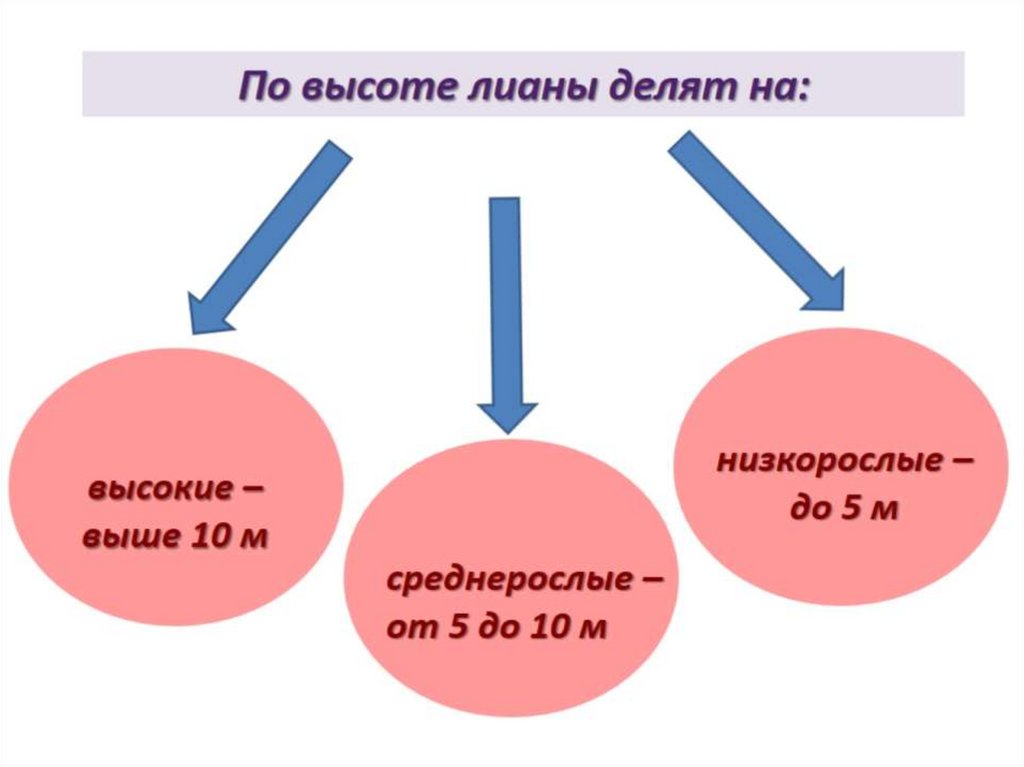 F7 в презентации