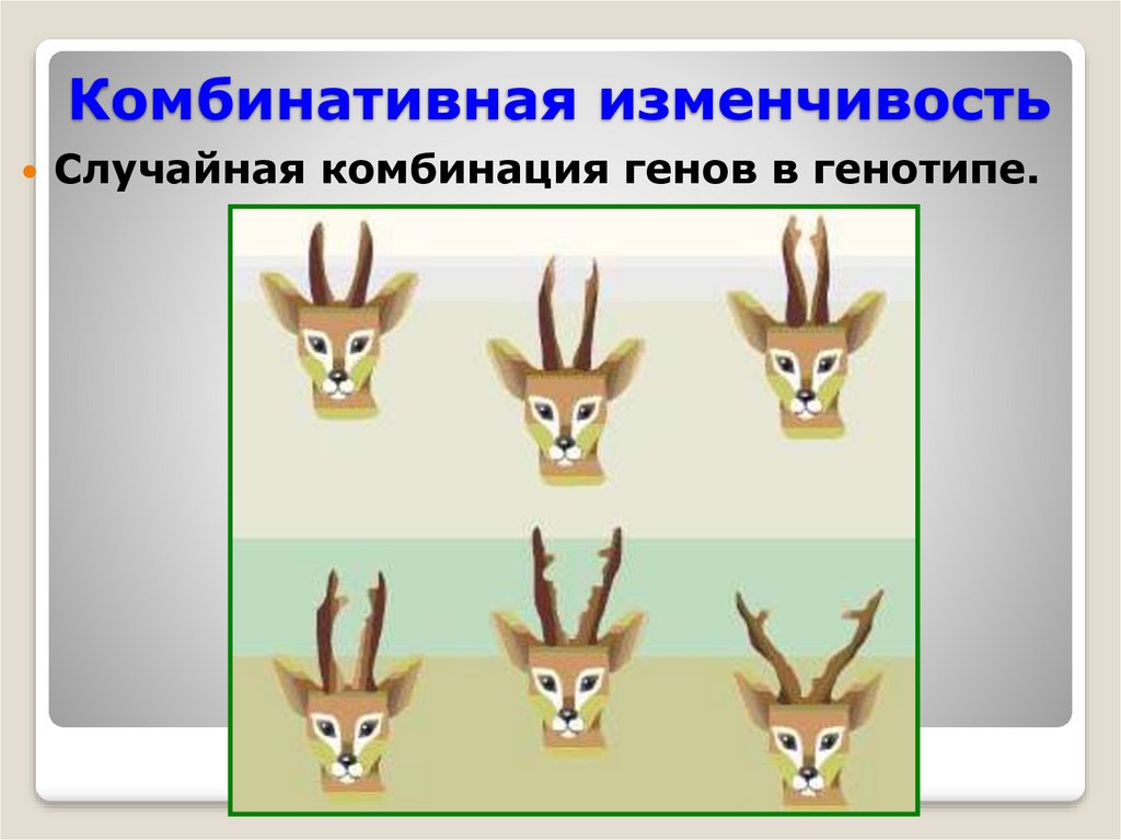 Задание 2 заполните схему изменчивость внеядерная комбинативная геномная