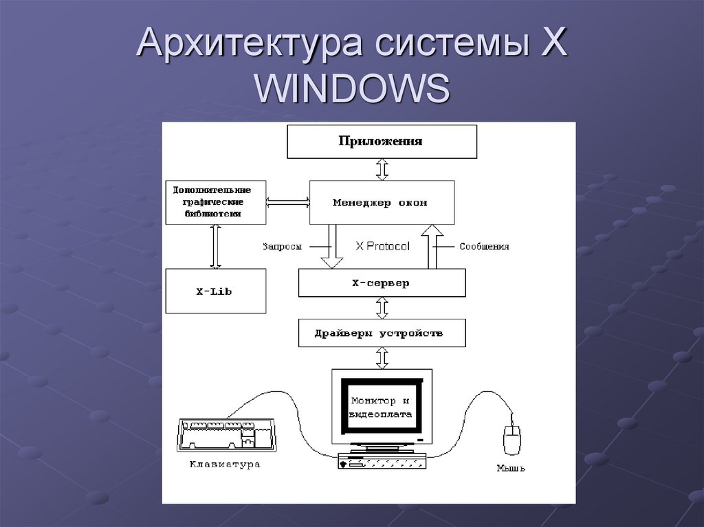 Архитектура системы X WINDOWS