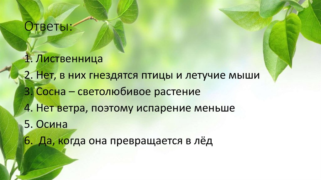 Незнакомая и знакомая природа картинки