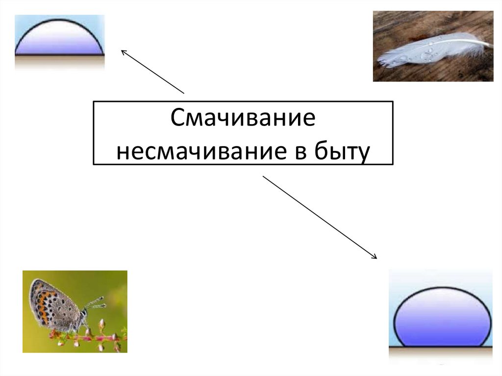 Смачивание несмачивание в быту - презентация онлайн