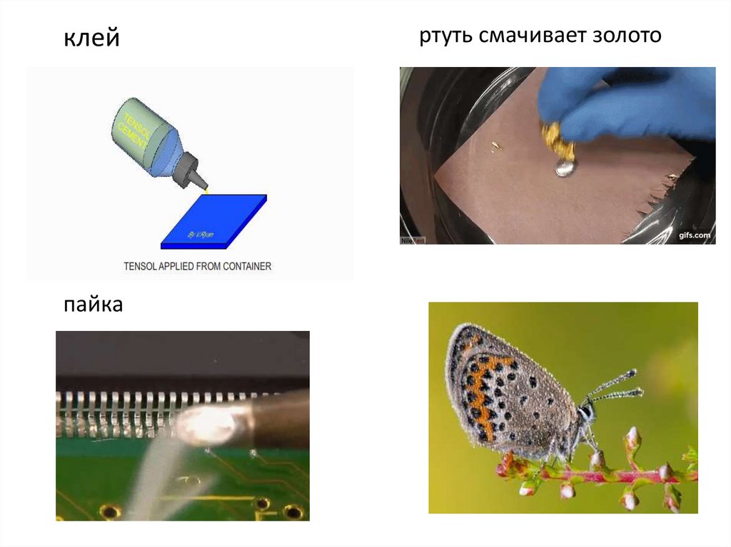 Смачивание и несмачивание физика 10 класс презентация