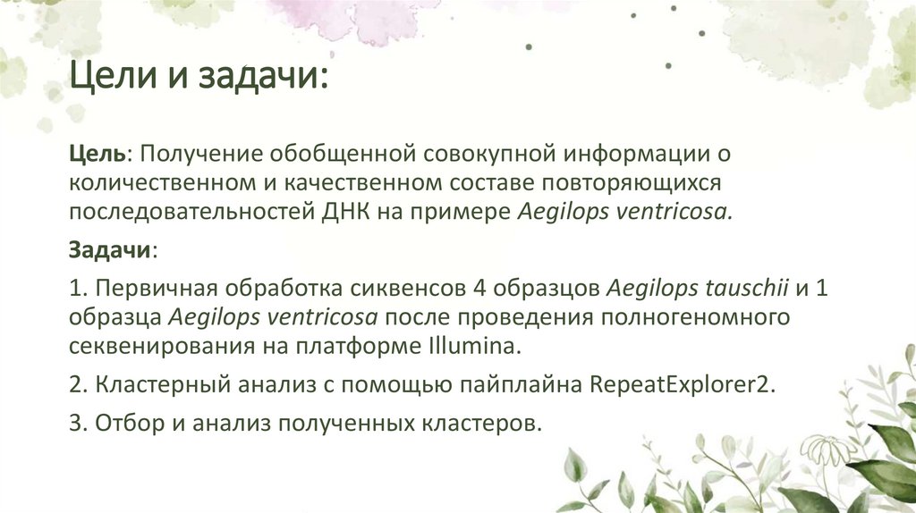 Цели и задачи: