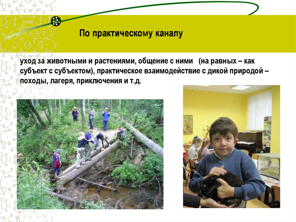 Воспитание экологической ответственности. Экологическая культура. Формирование экологической культуры.