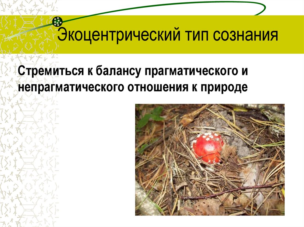 Экоцентрический тип сознания