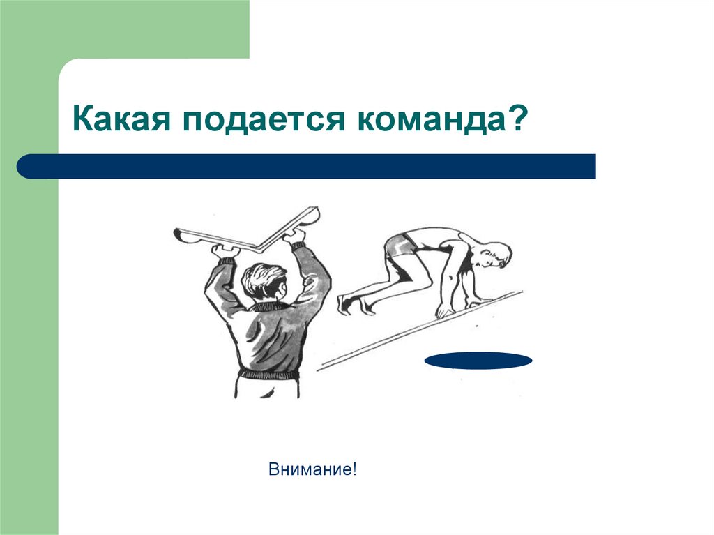 Команда внимания. Когда подается команда на старт. Подающая команда. Команда внимание. Как правильно подавать команду?.