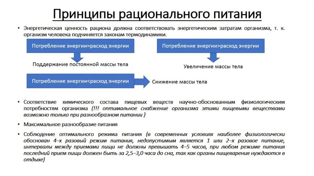 Принципы рационального питания