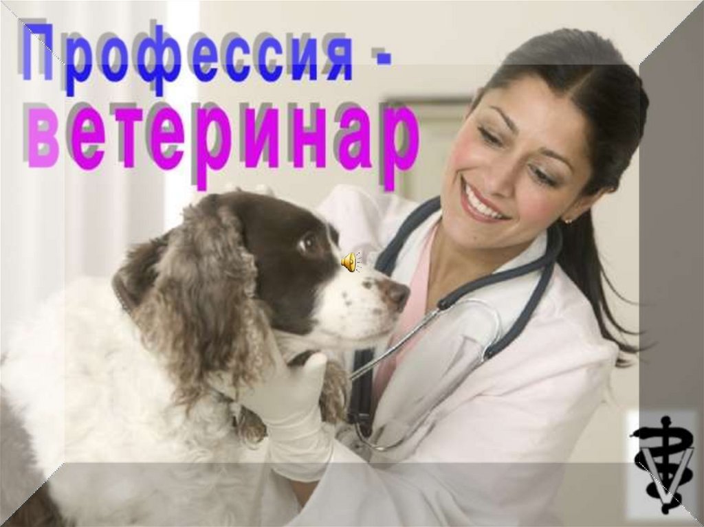 Специальность ветеринар