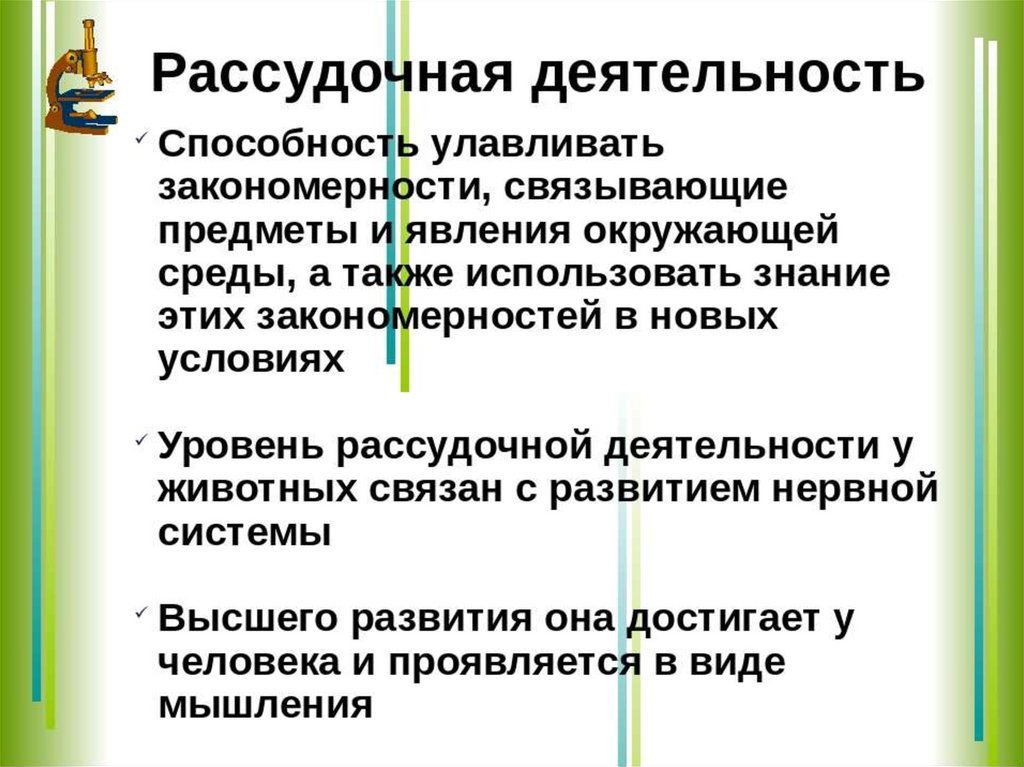 Врожденная способность познавать исследовать окружающий мир это. Рассудочная деятельность. Рассудочная деятельность животных. Элементарная рассудочная деятельность животных. Примеры рассудочной деятельности у животных.