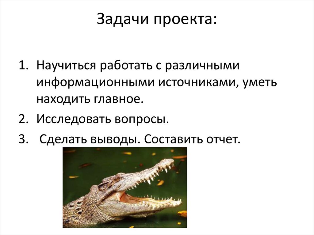 Задачи проекта: