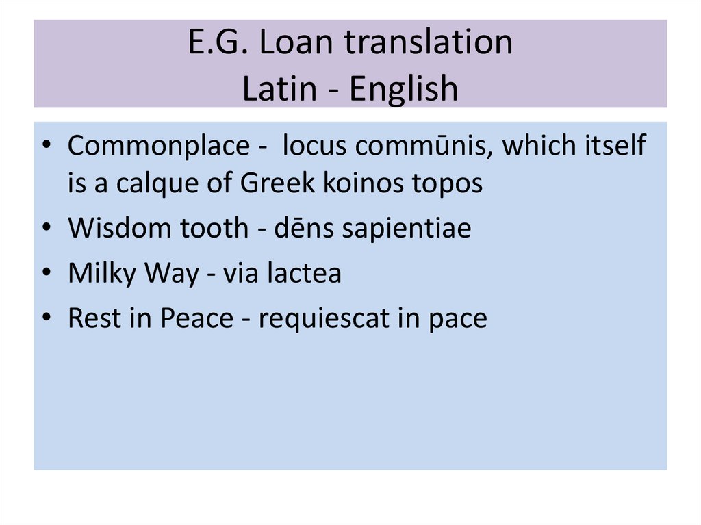 E.G. Loan translation Latin - English