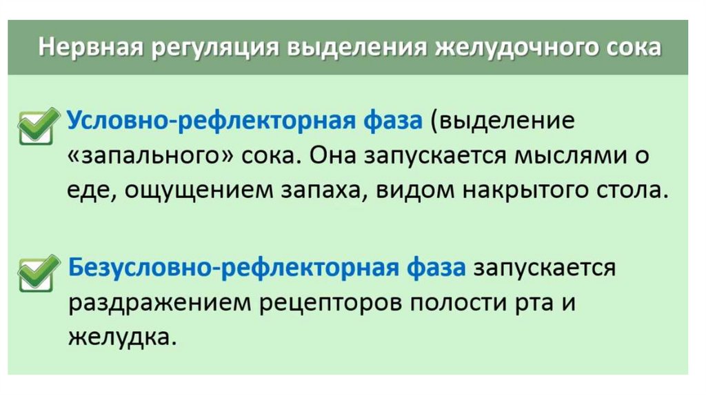 Рефлекторная фаза. Нервная регуляция выделения желудочного сока. Регуляция пищеварения. Гигиена питания - презентация. Регуляция пищеварения 8 класс презентация. Регуляция выделения желудочного сока безуслов.