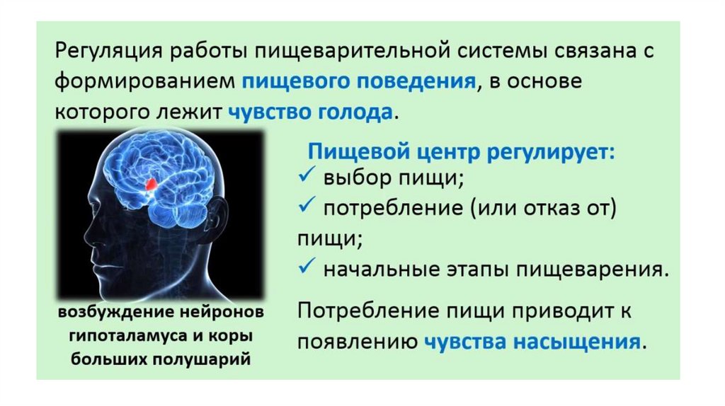 Регуляция поведения 8 класс презентация