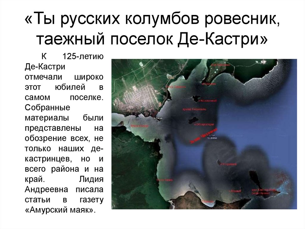 Карта приливов и отливов залива чихачева де кастри