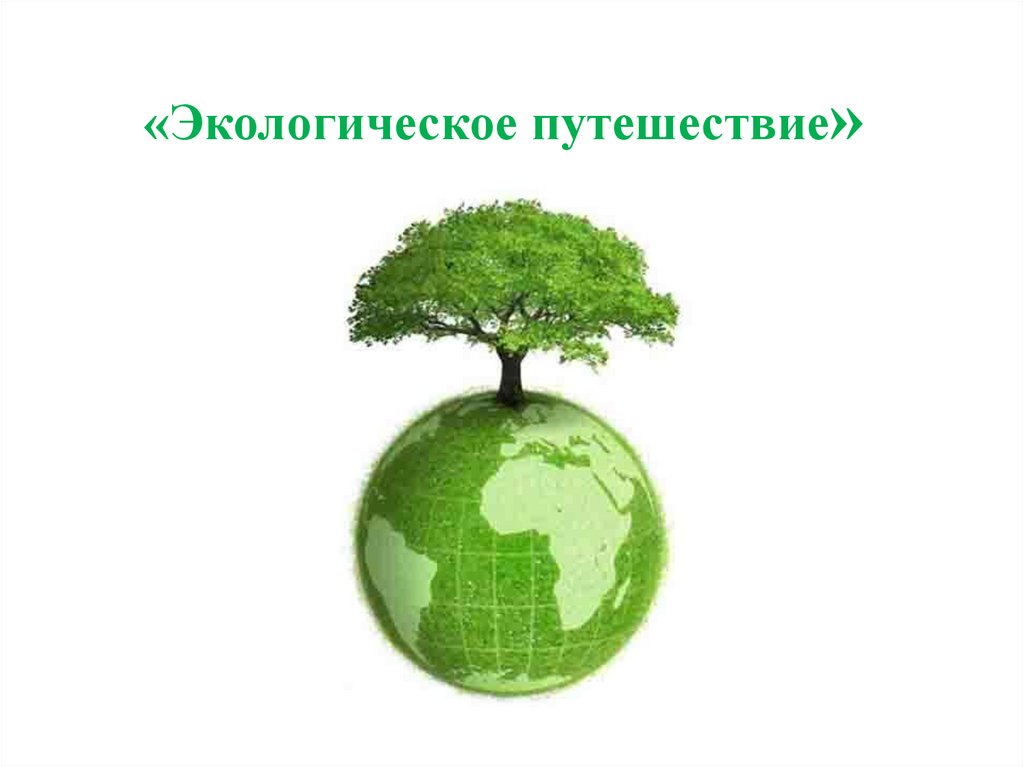 Экологическое путешествие - презентация онлайн