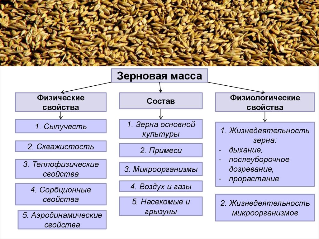 Классификация пищевых производств. Классификация пищевых предприятий. Классификация зерна. Классификация пищевого сырья.