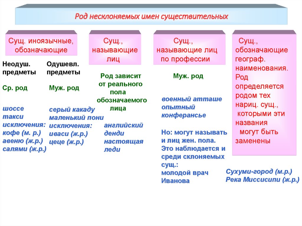 Примеры несклоняемых существительных