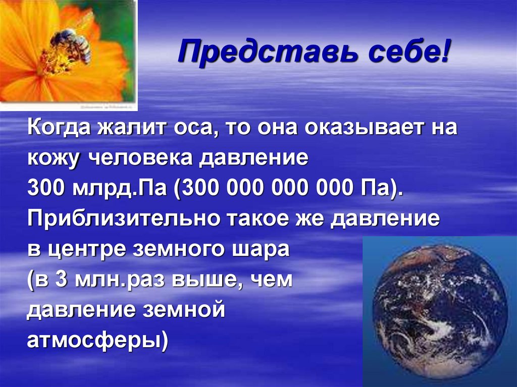 Давление 300. Задача о том какое давление оказывает Оса на кожу человека.