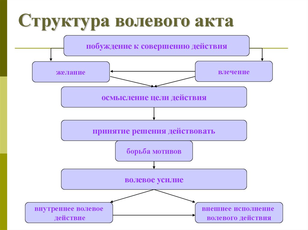 Структура волевого акта