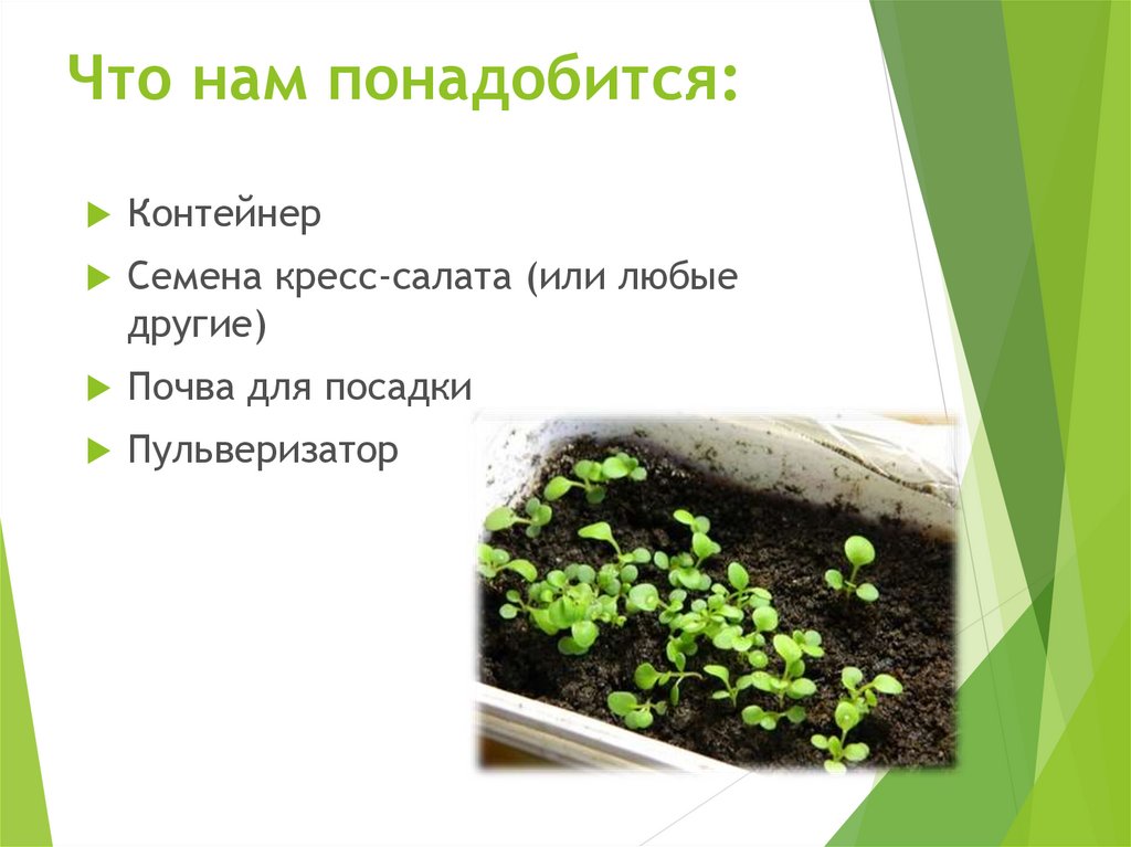 Что нам понадобится: