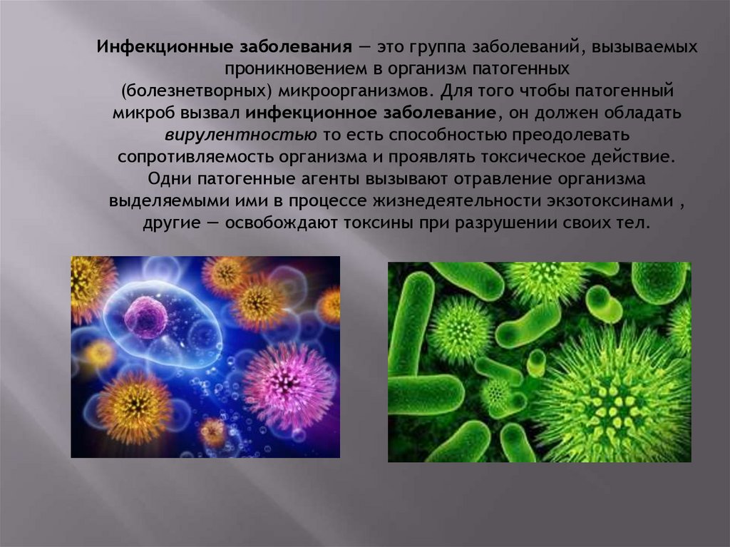 Презентация заболевание. Бактерии и вирусы инфекционных заболеваний. Инфекционные заболевания это заболевания вызванные. Микроорганизмы вызывающие инфекционные заболевания. Вывод бактерии и вирусы.