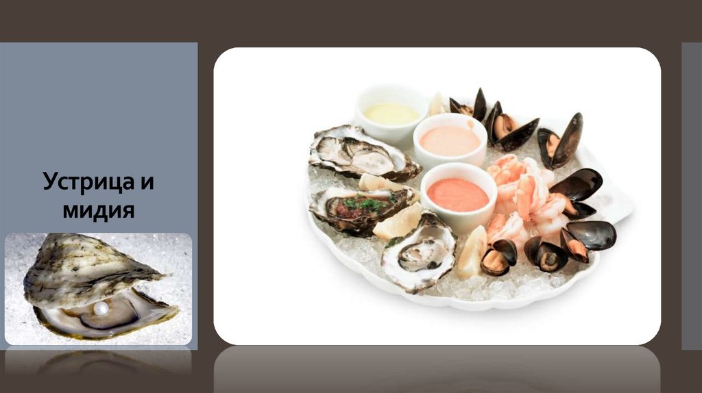 Устрица и мидия