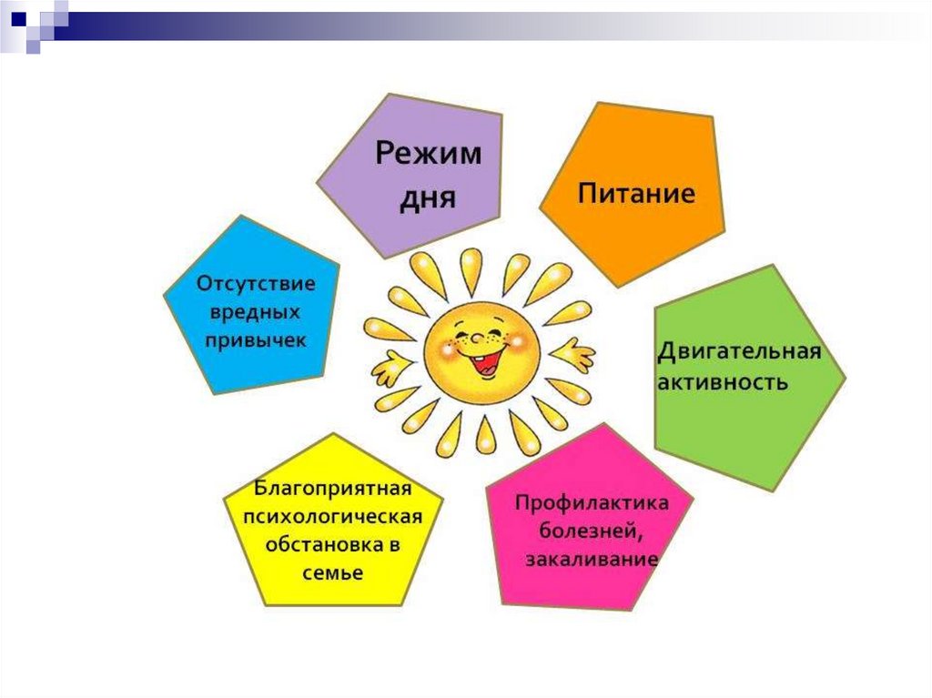 Составляющие зож. Здоровый образ жизни. Компоненты здорового образа жизни. Основные составляющие ЗОЖ.